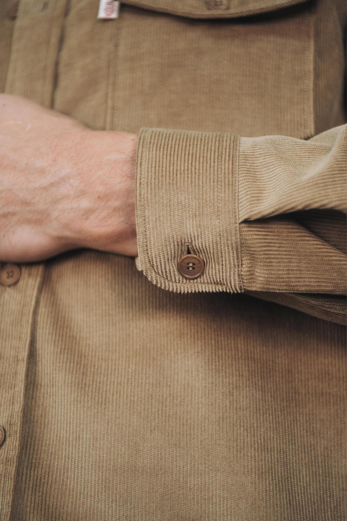 Surchemise velours Cêpe